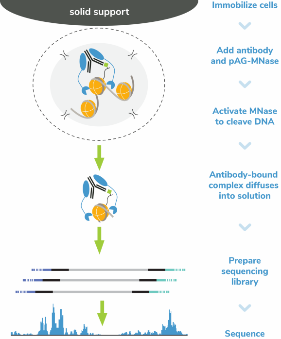 14-0052_cr_workflow