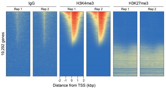 14-1048-genome-wide-heatmaps-test