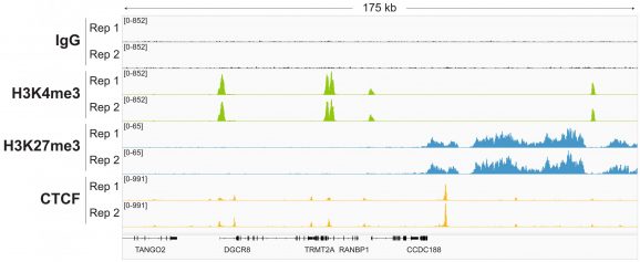 14-1048-representative-gene-browser-tracks-test