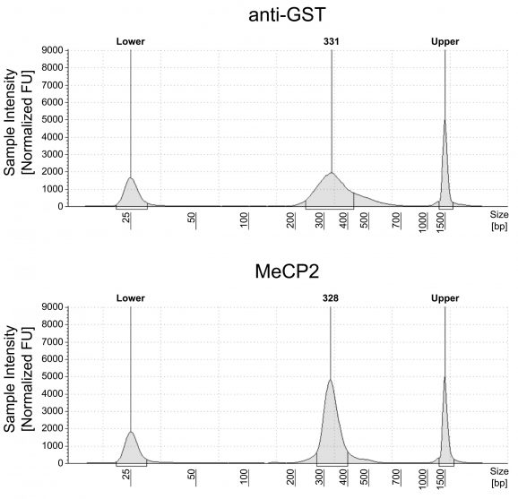 14-1060-24-dna-fragment-size-distribution-analysis