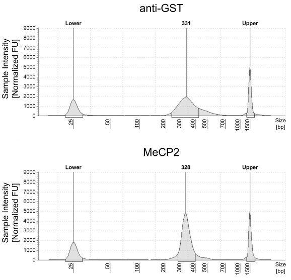 14-1060-24-dna-fragment-size-distribution-analysis
