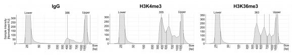 14-1802-dna-fragment-size-distribution-analysis