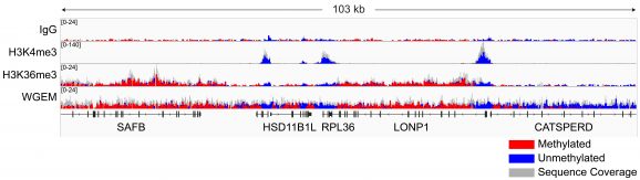 14-1802-representative-gene-browser-tracks