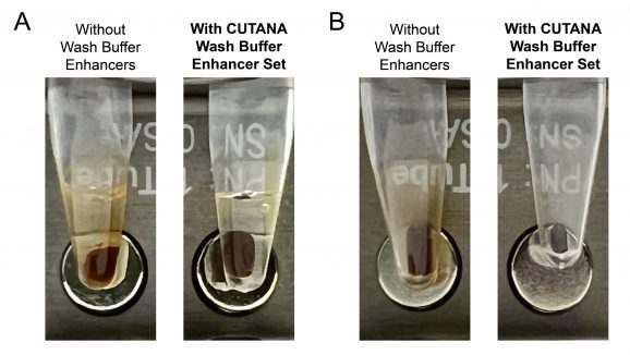 Images of tubes from CUT&Tag experiments showing better performance with the CUTANA Wash Buffer Enhancer Set