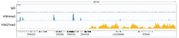 15-1016-gene-browser-tracks