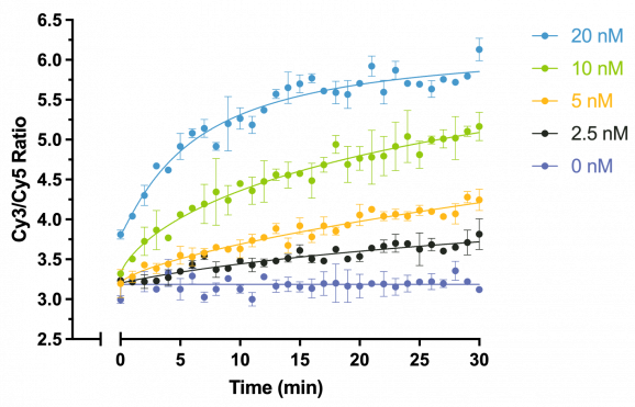 15-1024-chromatin-remodeling-assay