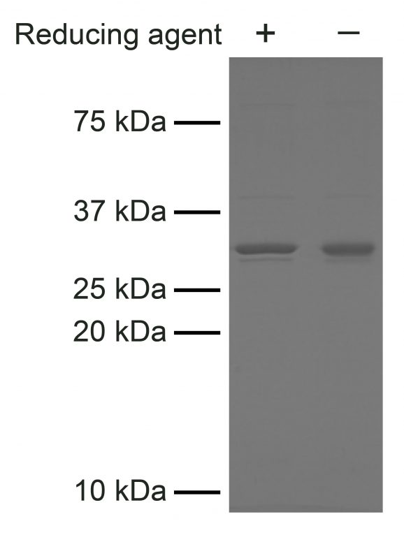 15-1032 Figure 1