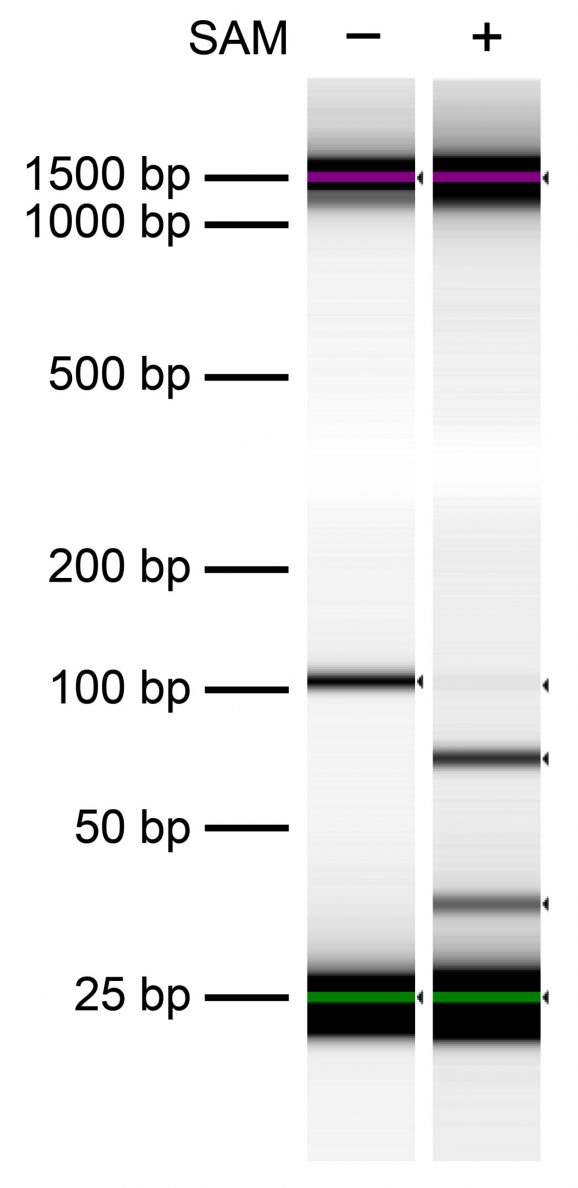 15-1032 Figure 2