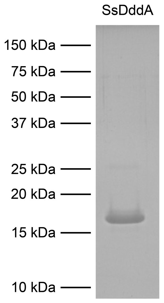 15-1037 Figure 1