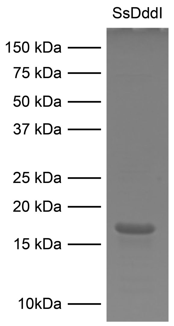 15-1038 Figure 1