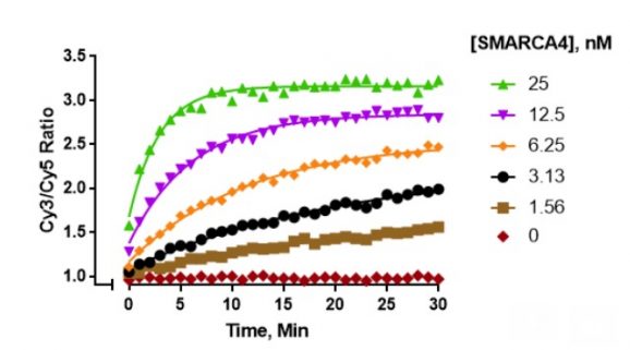 15_1014_ATP_dep_chromatin_remodeling
