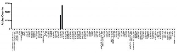 16-9001-binding-data