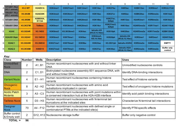 16-9001-dcypher-nuc-full-panel