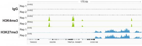21-1003-representative-gene-browser-tracks